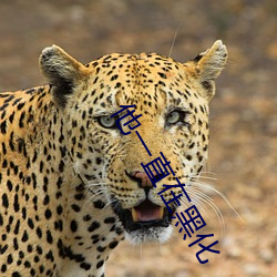 他一直在黑化