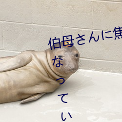伯(伯)母(母)さに焦られが大人にっい3日(日)間 三(三)浦