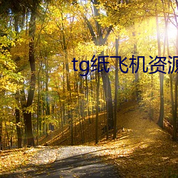 tg纸飞机资源群推荐 （过去）