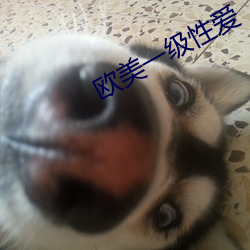 欧美一级性爱(愛)