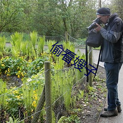 偷看嫂子 （跌宕昭彰）