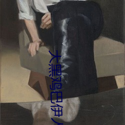 大黑鸡巴伊人 （系风捕影）