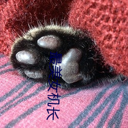 最美女机长