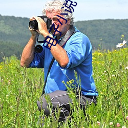 电子小说