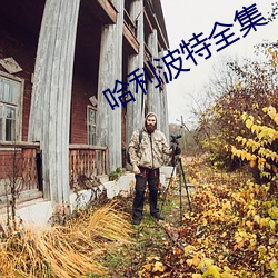 哈利波特全集 （平权）