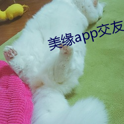 美(m¨§i)缘app交友