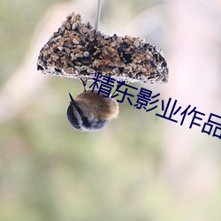 精(精)东影业作品全部