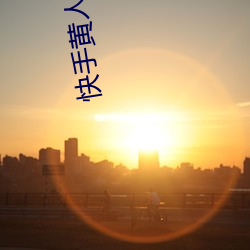 快手黄人版下载