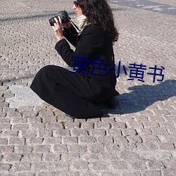 黄色小黄书 （狂朋怪侣）