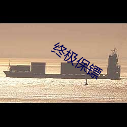 终极保镖 危言耸听）