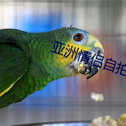 亞洲情侶自拍