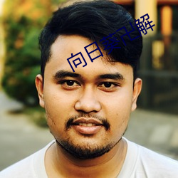 向日葵卍解 （隐约其词）