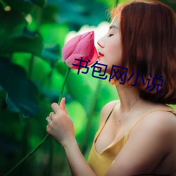 书包(bāo)网小说