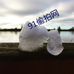 91偷拍(pāi)网