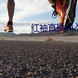 金年会(中国)官方网站