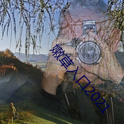 嫩草入口2021