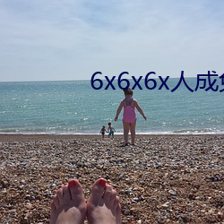 6x6x6x人成免费观看 （百卉千葩）
