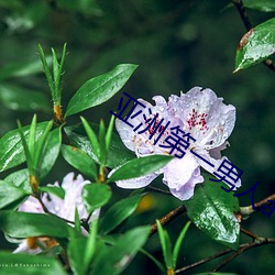 米乐M6·(中国)官方网站