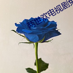 两世(shì)欢电视剧免费观看全集