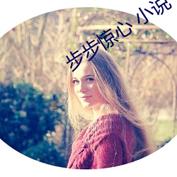 步步惊心 小说(shuō)