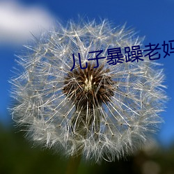 儿子暴躁老妈