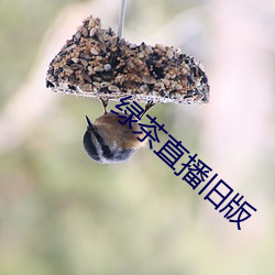 ca88手机客户端(安卓/苹果)CA88会员登录入口