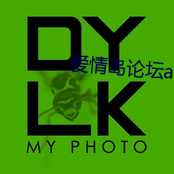 爱情岛论坛app下载