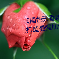 《国(guó)色天香精品卓越拓展仙(xiān)踪(zōng)林》:打造(zào)最强仙(xiān)侠帝(dì)国