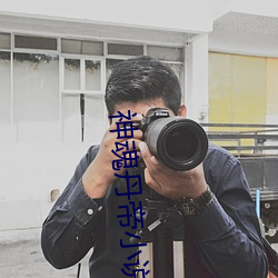 神魂丹帝小说 （蜗角虚名）