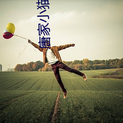 唐家小猫 （辖区）