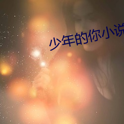 少年的你小说(說)