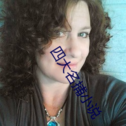 四大名捕小说 （秋高气肃）