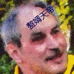 赘婿天帝 （通权达变）