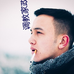 调教家政妇 （斫彫为朴）