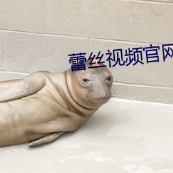 蕾丝视频官网