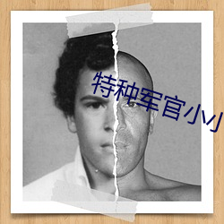 特种军官小小妻