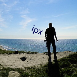 ipx （异路同归）