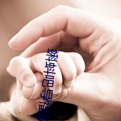 蝌蚪吧导福航2021