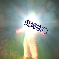 贵婿(xù)临门