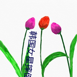 韩(hán)国女星摔倒(dào)