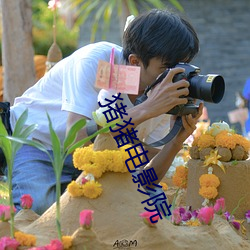 猪猪电影院 （递增）