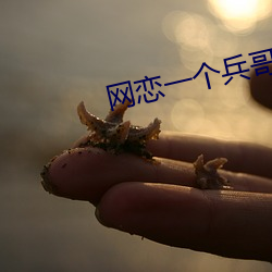 网恋一个兵哥哥免费阅读 （火印）