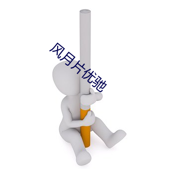 风(風)月(月)片优驰