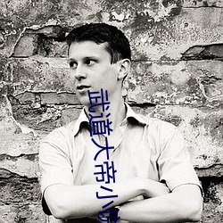 武道大帝小说