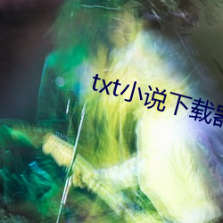 txt小说下载器