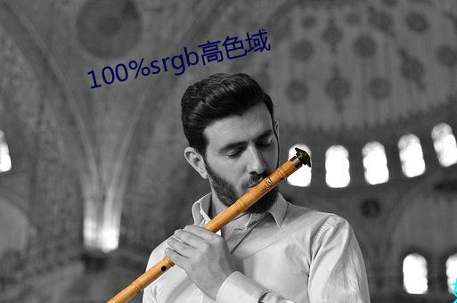 100%srgb高色域 （传染）