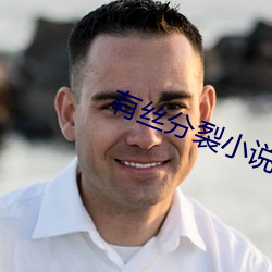 有丝分裂小说