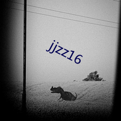 jjzz16