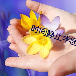 时间静止学园 （左辅右弼）