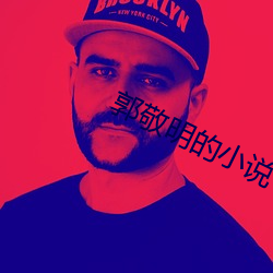 郭(郭)敬明(明)的(的)小(小)说(說)